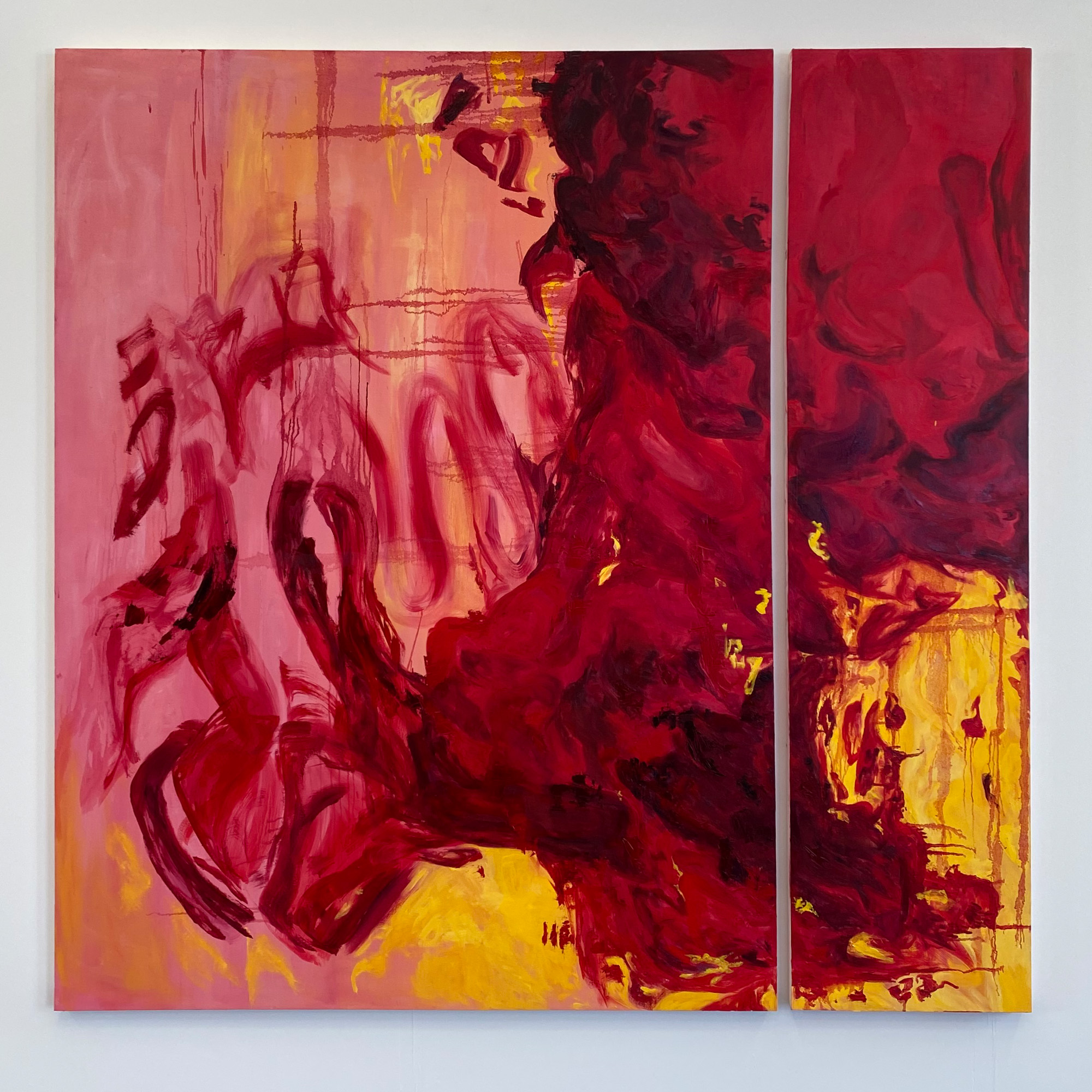 Aine Osborne - IADT On Show